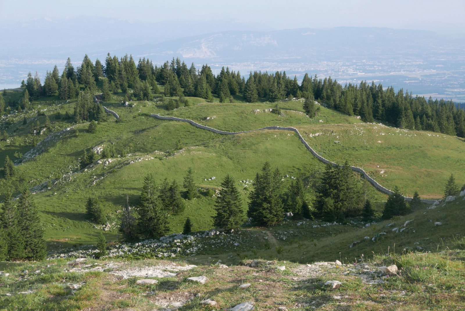 En Suisse, comme ici sur les pentes de la Dole, à deux pas des Rousses et du Col de la Faucille, les affleurements rocheux, les haies et les murgers sont protégés. (Photo d'archives Daniel Bordur)