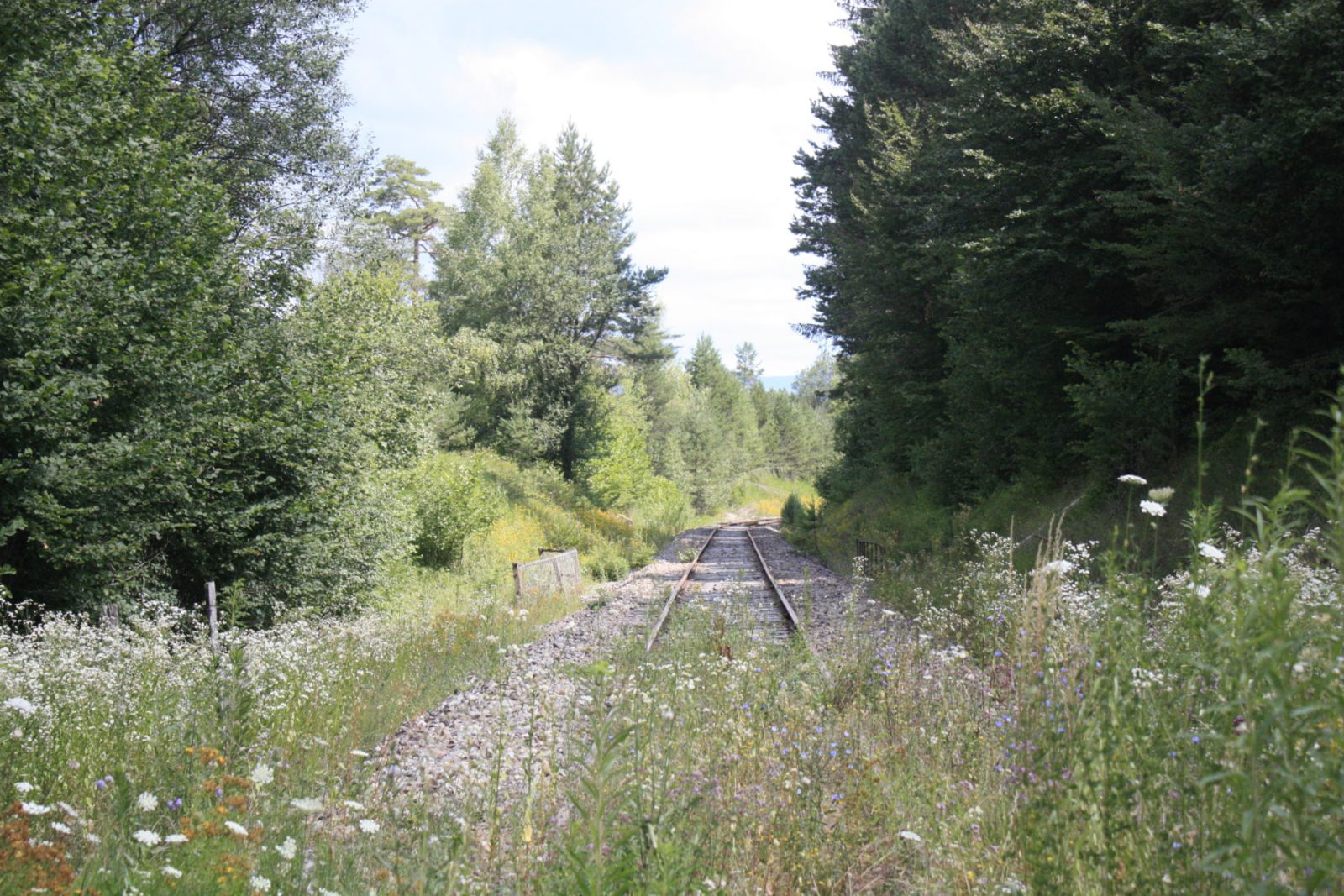 polish_20201006_164239179-min